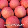 陕西红富士苹果基地-红富士苹果价格-冷库红富士苹果批发价格