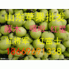 18669691338山东苹果批发美八苹果批发价格