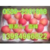 １３９５４９６６８２２山东纸袋/膜袋红富士苹果产地价格