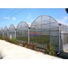 安康温室大棚 GP-832型单体钢管大棚 温室花卉大棚