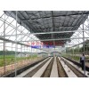 四川温室大棚 GP-832型单体钢管大棚 养殖温室大棚