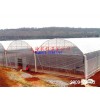陕西销售温室大棚 GP-832型单体钢管大棚 蔬菜温室大棚