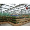 上海销售温室大棚 GLP-832型连栋遮阳大棚 优质产品