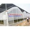 养殖温室_上海农程温室设备公司养殖温室建造的非常出色