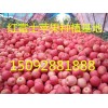 山东红富士苹果供应中心15092881888