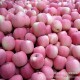 现货包邮13省 山东烟台栖霞红富士苹果 小5斤 天然绿色新鲜水果
