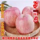 烟台栖霞红富士苹果好吃的新鲜水果70#5斤三级果 瑕疵果特价批发