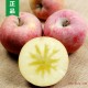 新疆苹果阿克苏冰糖心 正宗红旗坡特产 新鲜有机大水果15斤