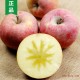 新疆苹果阿克苏冰糖心 正宗红旗坡特产 新鲜有机大水果10斤半