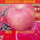 礼盒装苹果  烟台一级精品红富士 脆甜爽口 有机水果