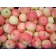 新鲜红富士苹果预售 水果批发 价格另议