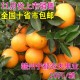 赣南脐橙 新鲜水果 纯天然绿色美容食品 20斤包邮 85-95果径
