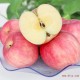 【俊鑫果品】烟台红富士 有机红富士  新鲜水果吃的苹果65#