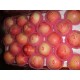 供应2013年出口级100-138红星苹果 保鲜 红星 苹果