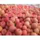 宁夏 红星苹果批发基地|苹果产地供应商及价格