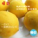 供应四川安岳新鲜黄柠檬 一斤4个  一级优质果 果园直供 鲜柠檬
