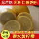 台湾品种海南无籽香水柠檬 新鲜水果批发黄柠檬 无苦味 团购批发