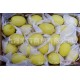 批发南非黄柠檬 新鲜水果进口代理尤力克黄柠檬洋柠檬大果 #30斤
