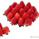 基地现摘新鲜奶油大草莓 绿色健康养颜冬草莓蜂香 巧克力草莓