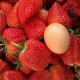 丹东马家岗九九草莓 红颜草莓 99草莓 丹东特产年货 产地直供批发