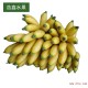 泰国进口水果  皇帝蕉  芭蕉 口感好 香蕉批发 团购 价格实惠