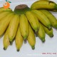 鑫汇创 海南 三亚新鲜果 香蕉  热带水果 皇帝蕉 小米蕉10斤