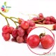 特价大量批发红提葡萄 一级新鲜水果 6公斤盒装 现货  出口内销