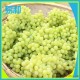 生产销售 新疆葡萄价格优惠 新鲜水果葡萄