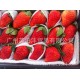 (英泊沣)新鲜优质国产水果牛奶草莓 批发团购