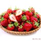 【南新农科】顺丰包邮特级香草莓3斤 现货热卖中新鲜水果批发代理