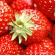 长期批发各种新鲜进口水果 甜宝草莓 美味健康【图】