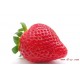 【优质供应】农场色泽好香甜草莓批发 多种水果批发