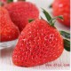 国产奶油草莓 新鲜水果美味草莓 产地直销一盒 特价批发