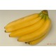 菲律宾香蕉 进口新鲜水果特产食品 团购批发箱装香甜可口约20斤