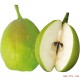 新年应季水果，新疆库尔勒香梨 年货批发 新疆香梨批发 新鲜水果