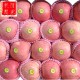 现货销售 烟台栖霞红富士苹果 有机特价红富士苹果 果径#85