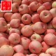 厂家热销 75规格精品红富士苹果 新鲜礼品红富士苹果
