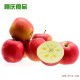 新鲜水果新疆糖心苹果新疆阿克苏苹果 平安果 圣诞果批发团购14斤
