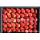 批发上海青浦奶油草莓 新鲜水果进口代理红颜果红霞果大果 #市斤