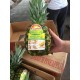 进口新鲜菲律宾菠萝/Everich菲律宾批发