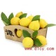 四川安岳新鲜黄柠檬 尤力克 一级果 批发价