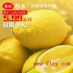 四川特产合作社自种安岳柠檬特价代理国产新鲜水果批发一件代发