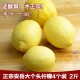 新货四川安岳新鲜黄柠檬包邮2斤尤力克超大个4个装新鲜水果