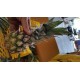 泰国普吉岛进口迷你小凤梨菠萝10斤装16-20个