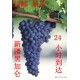 新疆 吐鲁番 新鲜葡萄 原产地 直发 黑加仑 每天 时令价