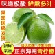 海南青柠檬 新鲜水果批发 奶茶原料 冷饮胜安岳越南青柠檬做酵素