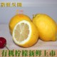 四川安岳黄柠檬新鲜水果一级中大果500克柠檬4个装