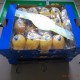 安岳柠檬 预定 商场超市水果连锁配送专用3公斤装 精选特级果批发