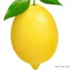 新鲜水果黄柠檬 四川资阳安岳尤力克柠檬 优等品厂家直销