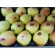 新鲜水果 进口法国宝林苹果苹果 苹果批发 厂家直销 优惠进行中